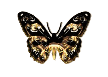 papillon noir animé